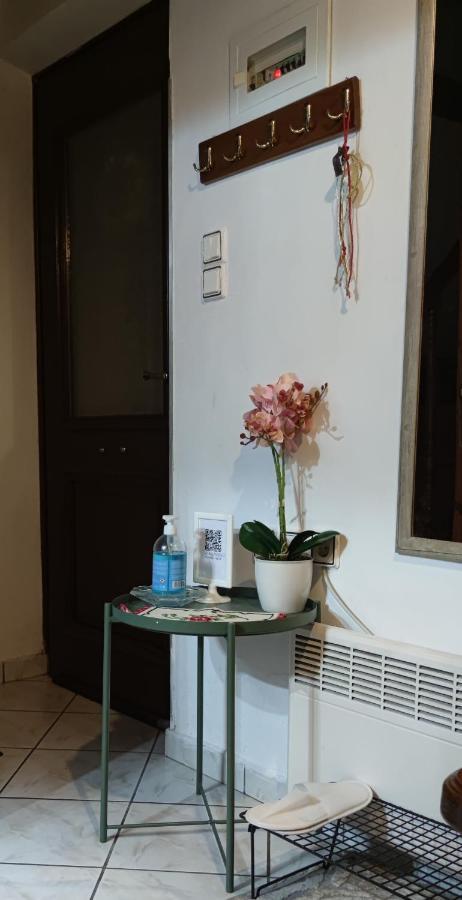 Dameli Apartment Sykaminea Bagian luar foto