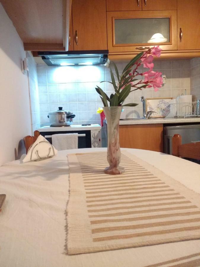 Dameli Apartment Sykaminea Bagian luar foto
