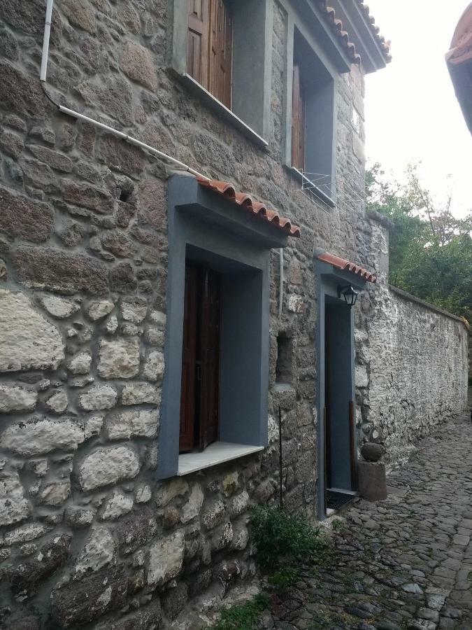 Dameli Apartment Sykaminea Bagian luar foto