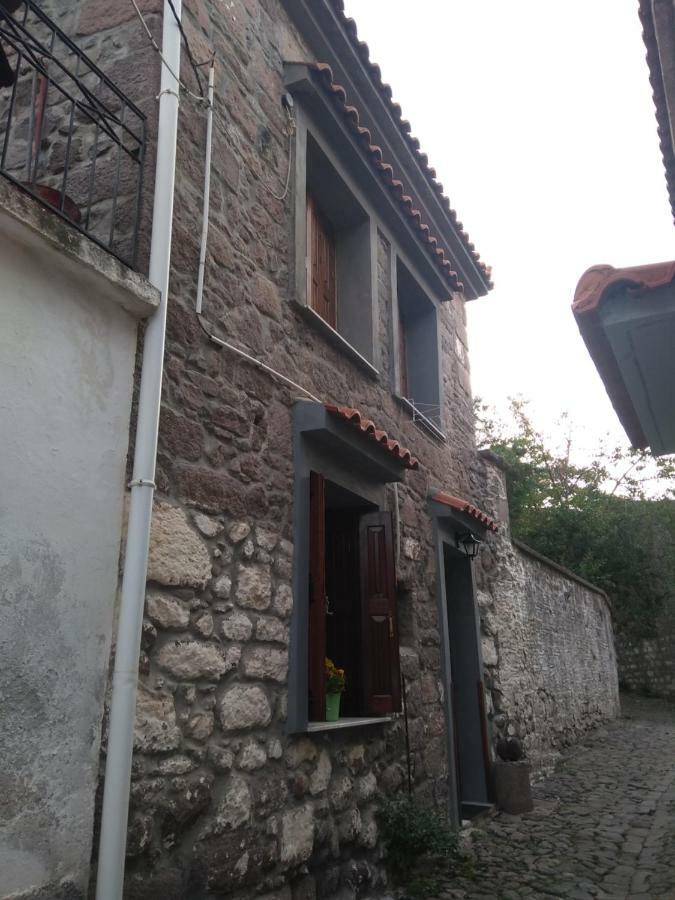 Dameli Apartment Sykaminea Bagian luar foto