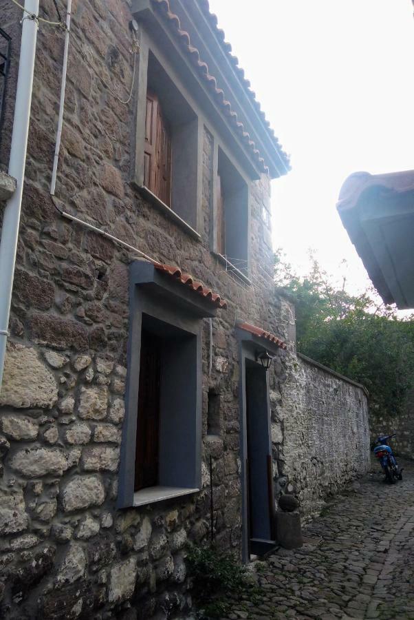 Dameli Apartment Sykaminea Bagian luar foto